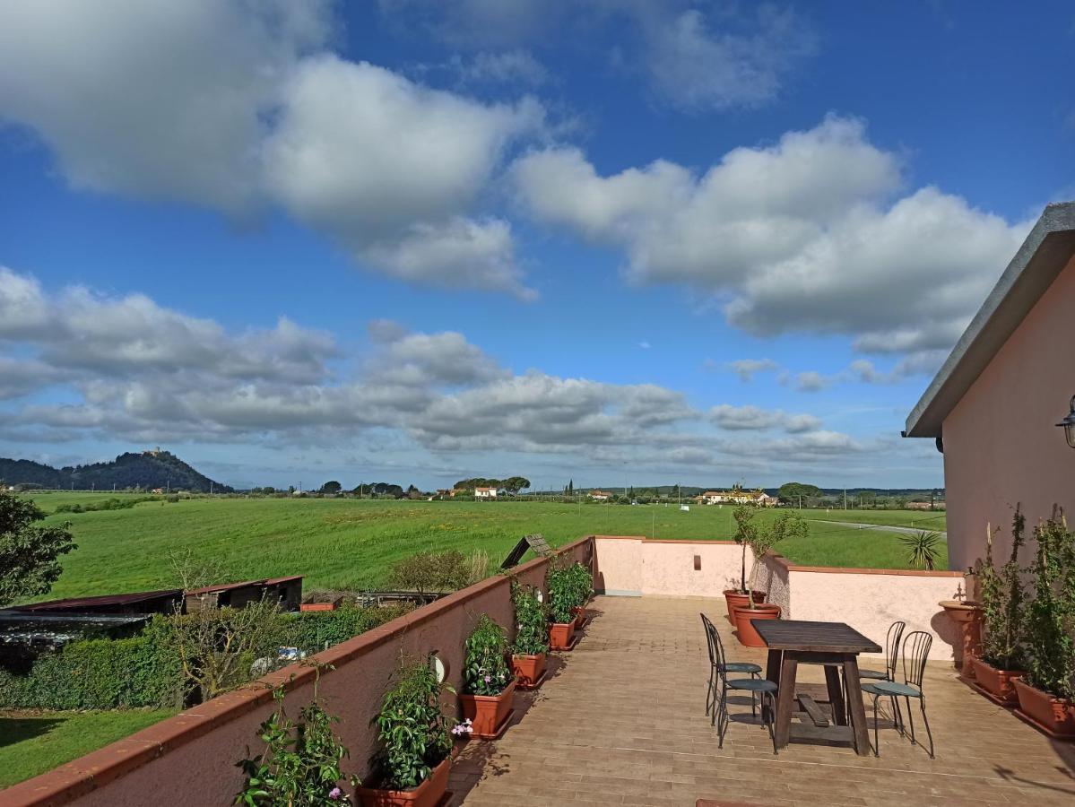Agriturismo La Talpa Marsiliana Ngoại thất bức ảnh