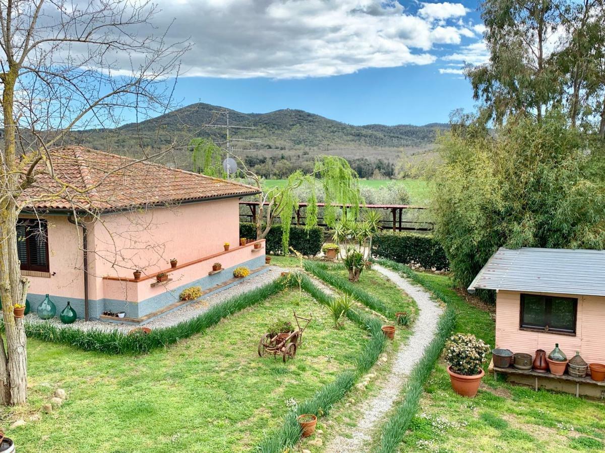 Agriturismo La Talpa Marsiliana Ngoại thất bức ảnh