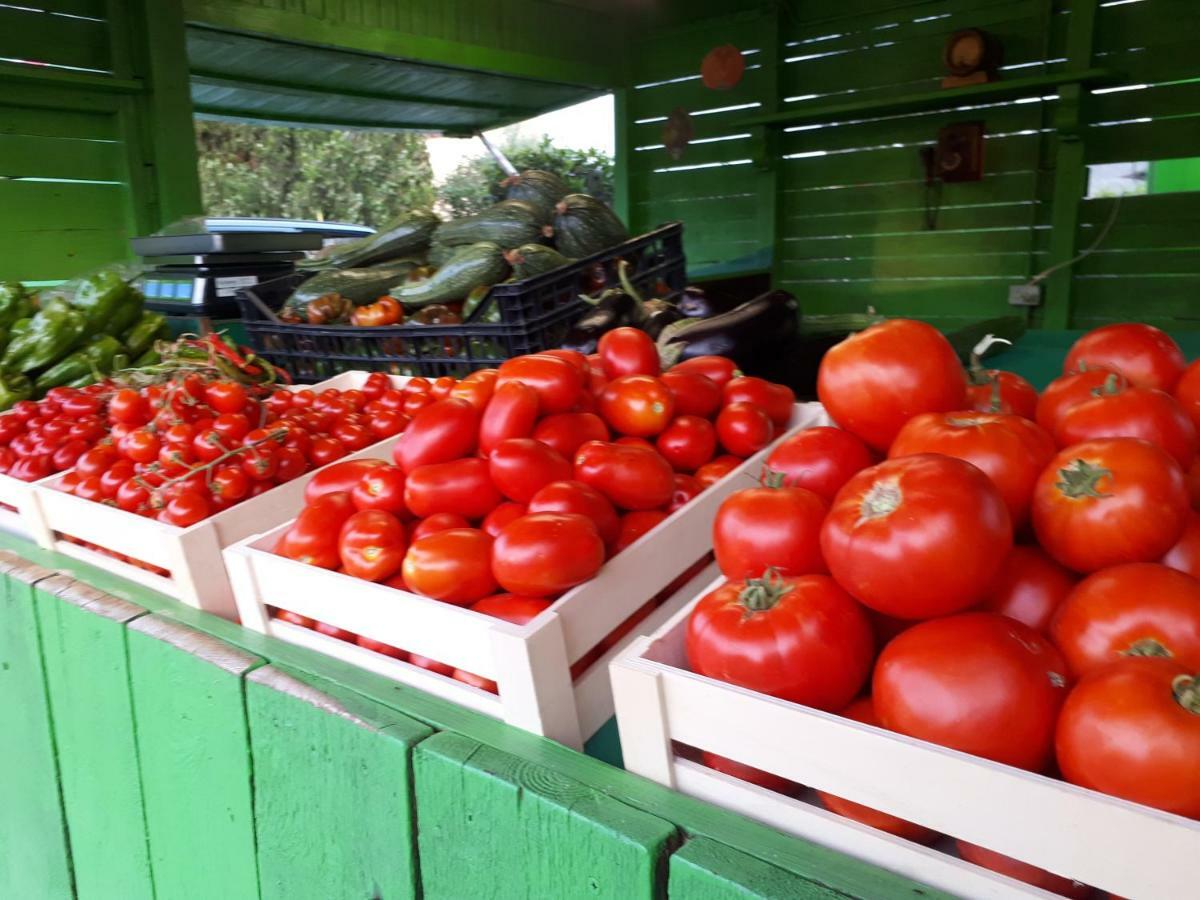 Agriturismo La Talpa Marsiliana Ngoại thất bức ảnh