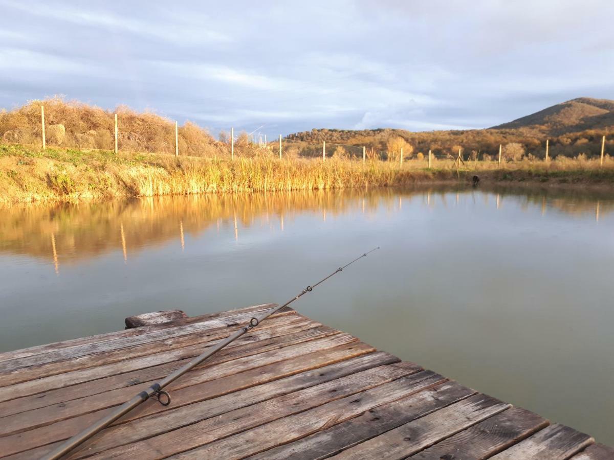 Agriturismo La Talpa Marsiliana Ngoại thất bức ảnh