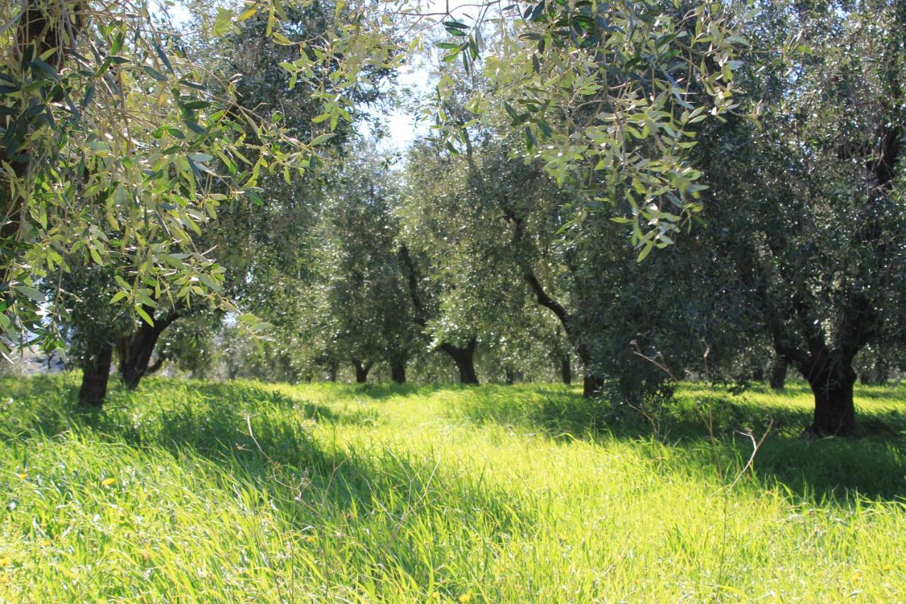 Agriturismo La Talpa Marsiliana Ngoại thất bức ảnh