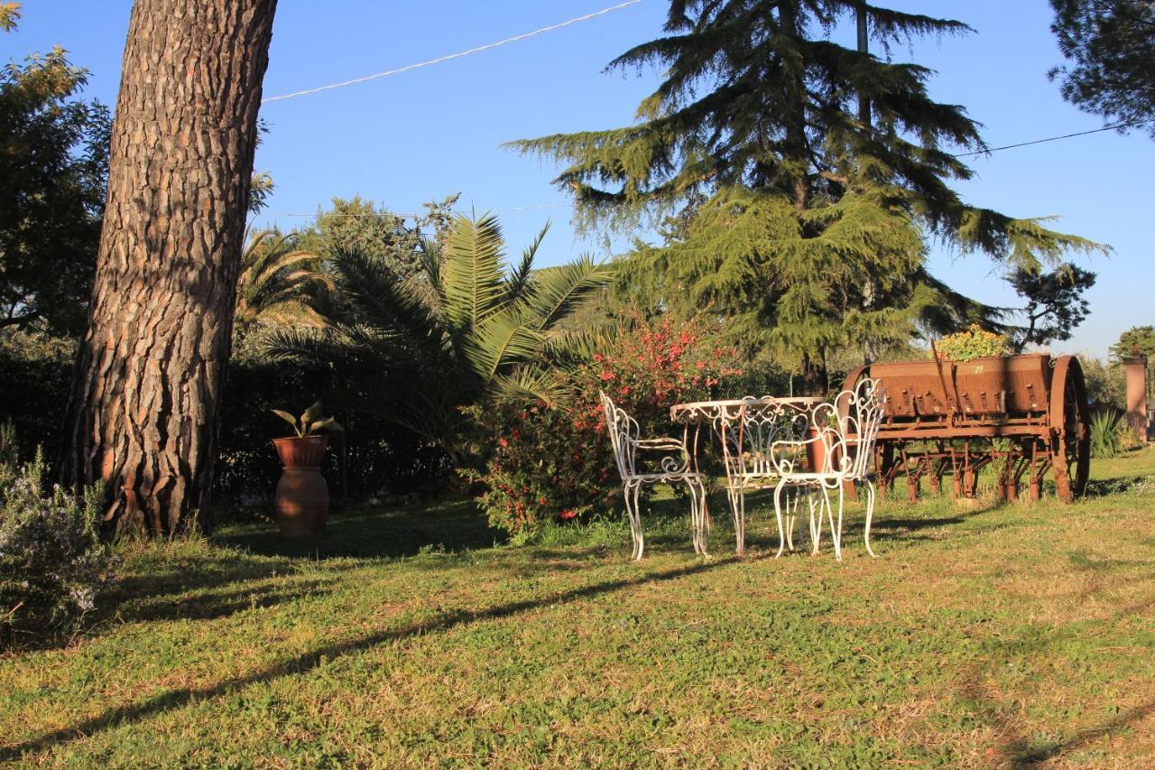 Agriturismo La Talpa Marsiliana Ngoại thất bức ảnh