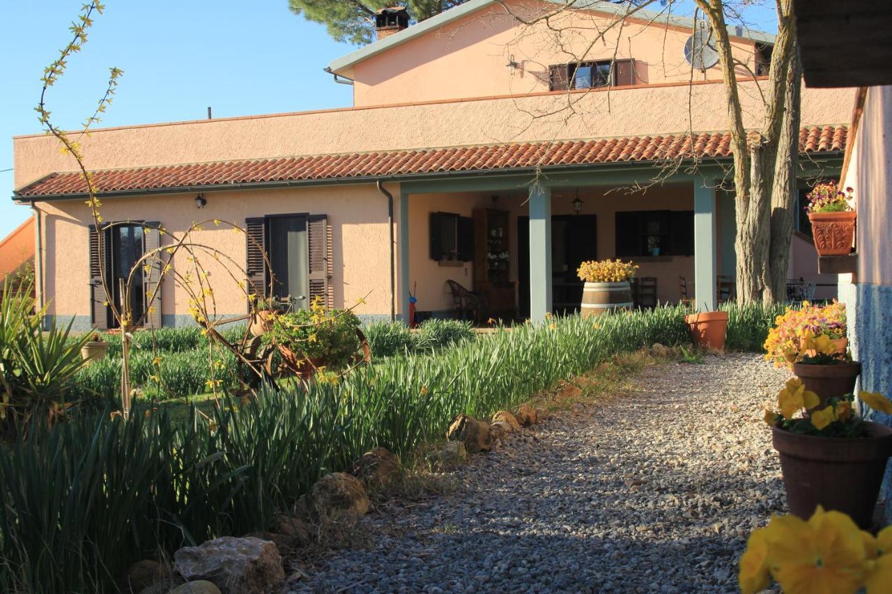 Agriturismo La Talpa Marsiliana Ngoại thất bức ảnh